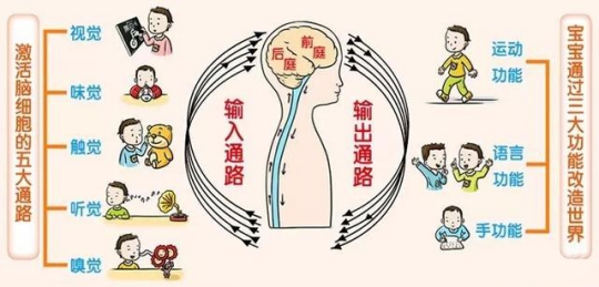 感统失调是个什么鬼？