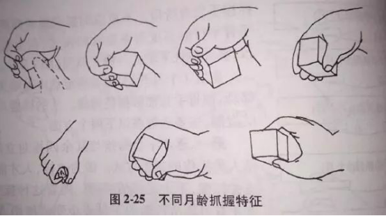 儿童发育迟缓康复训练——小儿脑瘫的作业疗法训练